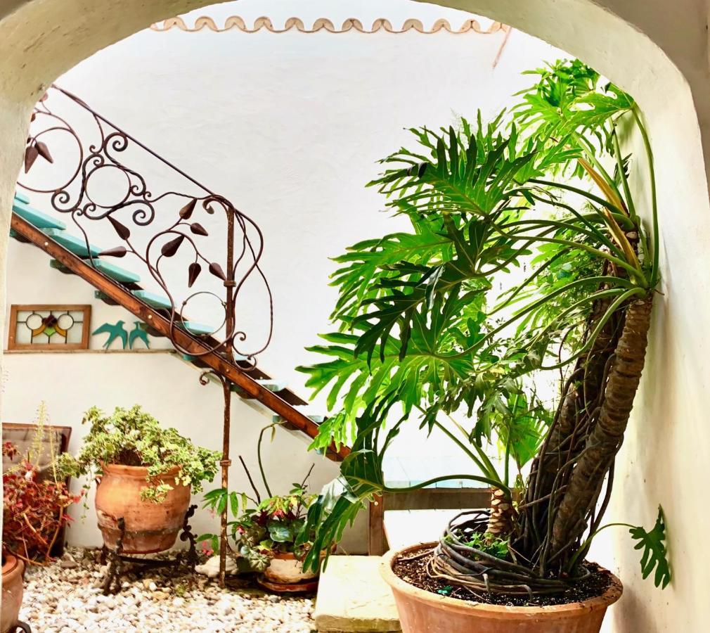 Casa Del Teatro Luxury Casas Vejer Debra Villa Vejer de la Frontera Ngoại thất bức ảnh