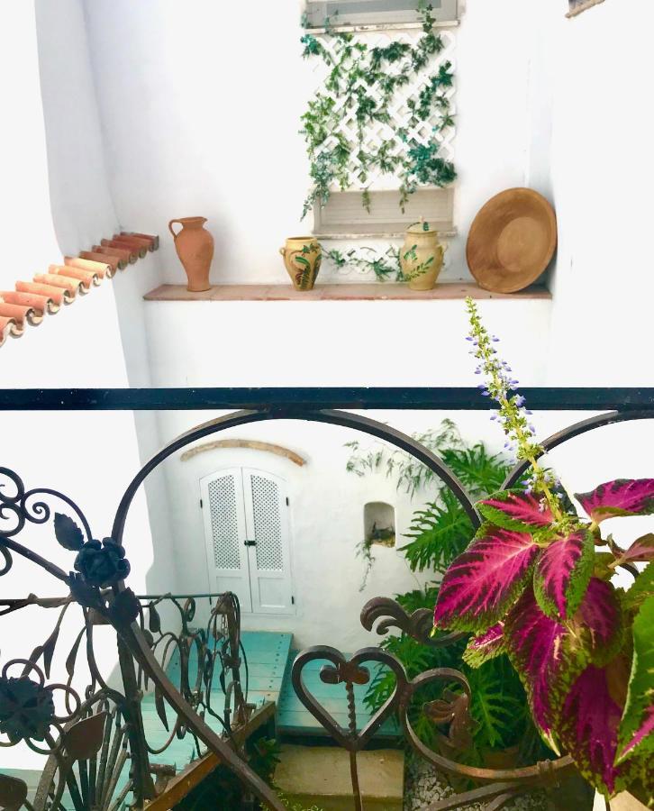Casa Del Teatro Luxury Casas Vejer Debra Villa Vejer de la Frontera Ngoại thất bức ảnh